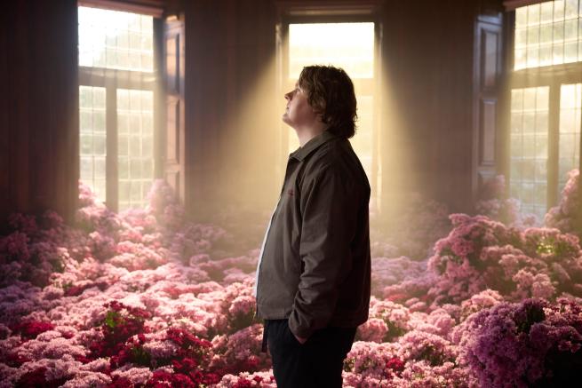 a person stood in front of windows with sun shining through them surrounded by pink flowers