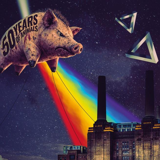 Starry night sky with a bright beam of rainbow light above a factory and a floating pig with text reading '50 years of animals'. 