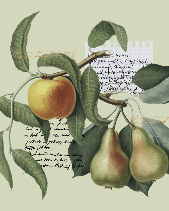 Botanical Print