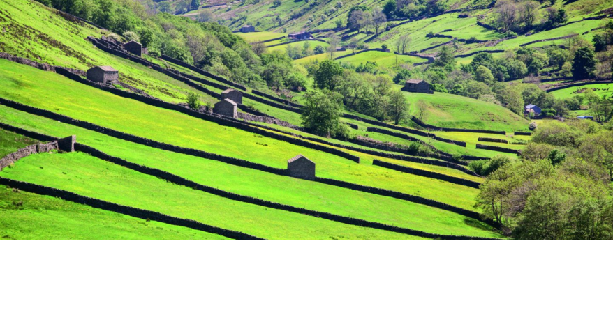 Swaledale barns and walls Stephen Garnett / https://www.yorkshiredales.org.uk/plan-your-visit/