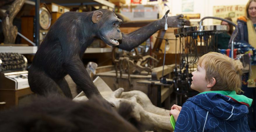 A Discovery Day / Thu 9 Apr 2026 / Leeds Discovery Centre