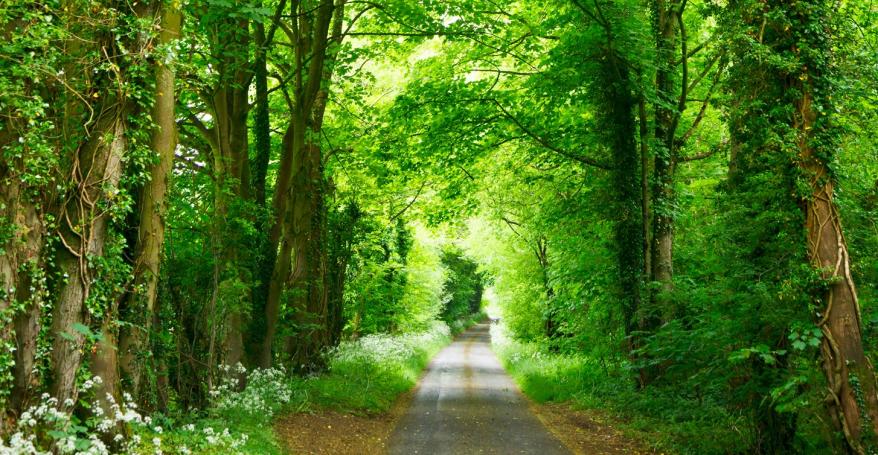 Photo by Studio Dekorasyon on Unsplash