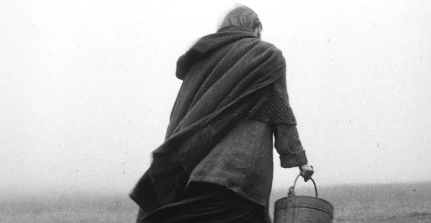 The Turin Horse (15) / Mon 22 Jun 2026 / Hyde Park Picture House / Image: Curzon Film World Limited