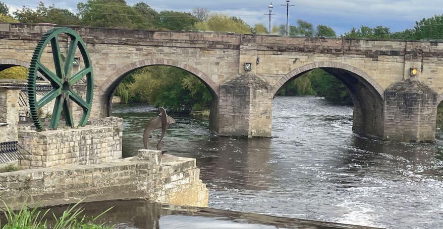 Wetherby Festival