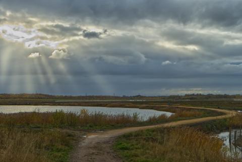 An outdoor walking path across a nature reserve with a blue sky