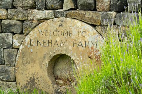 Welcome to Lineham Farm