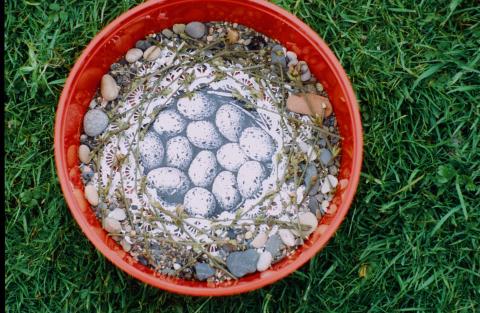 Detail from Audrey Barker’s work (undated). Image courtesy of www.the-ndaca.org