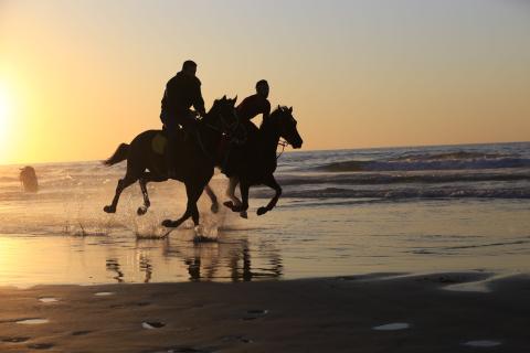 Copyright: Fadi A. Thabet