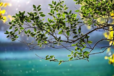 This image is a placeholder image