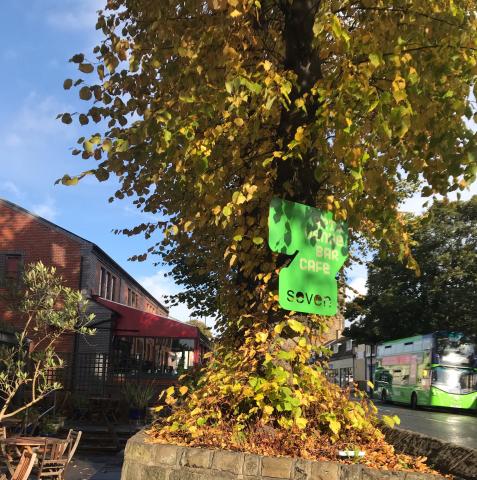 Seven is an independent arts space in Chapel Allerton, Leeds 7, which opened in July 2007. The aim is to deliver and enable high quality arts activity. The space is small but versatile, providing a 100 seat venue for film, theatre, dance, music, words and comedy, together with an attractive and welcoming cafÈ bar. The building of Seven arts centre was the culmination of 10 years of effort since a group of local residents first got together to find ways to improve community spirit through involvement in the…