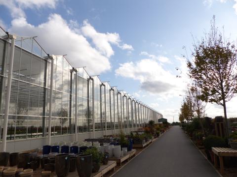 Housed in a state-of-the-art 90,000 sq metre glass house, The Arium is the biggest plant nursery in Leeds and one of a kind as it grows all plants on-site in four specially designed and temperature-controlled growing zones.The nursery's friendly and knowledgeable staff have collectively over 300 years of horticultural experience and are on-hand and happy to share their knowledge for any of your plant and gardening queries.  There are literally hundreds of different varieties of plants dependant on the…
