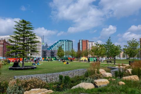 a city centre park, with an open field and trees surrounded by tall buildings