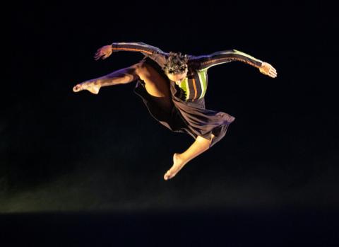 Phoenix Dance