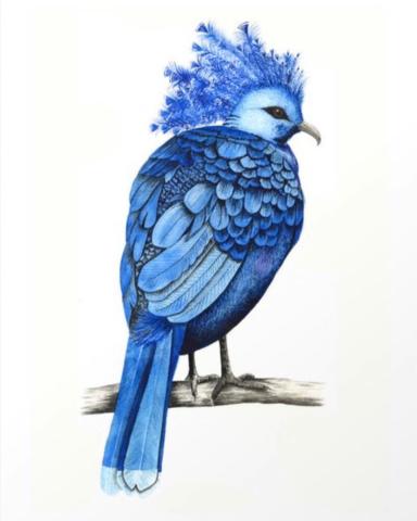 Image created by Aire street workshop