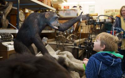 A Discovery Day / Thu 9 Apr 2026 / Leeds Discovery Centre