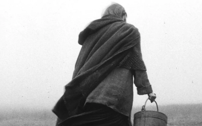 The Turin Horse (15) / Mon 22 Jun 2026 / Hyde Park Picture House / Image: Curzon Film World Limited