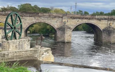 Wetherby Festival