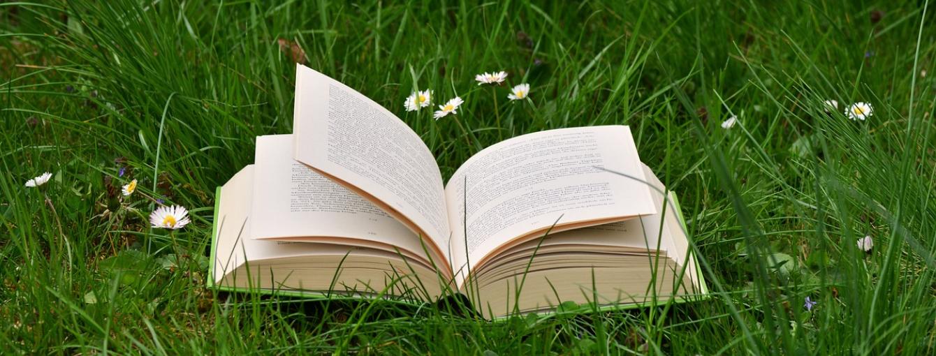 an open book on green grass