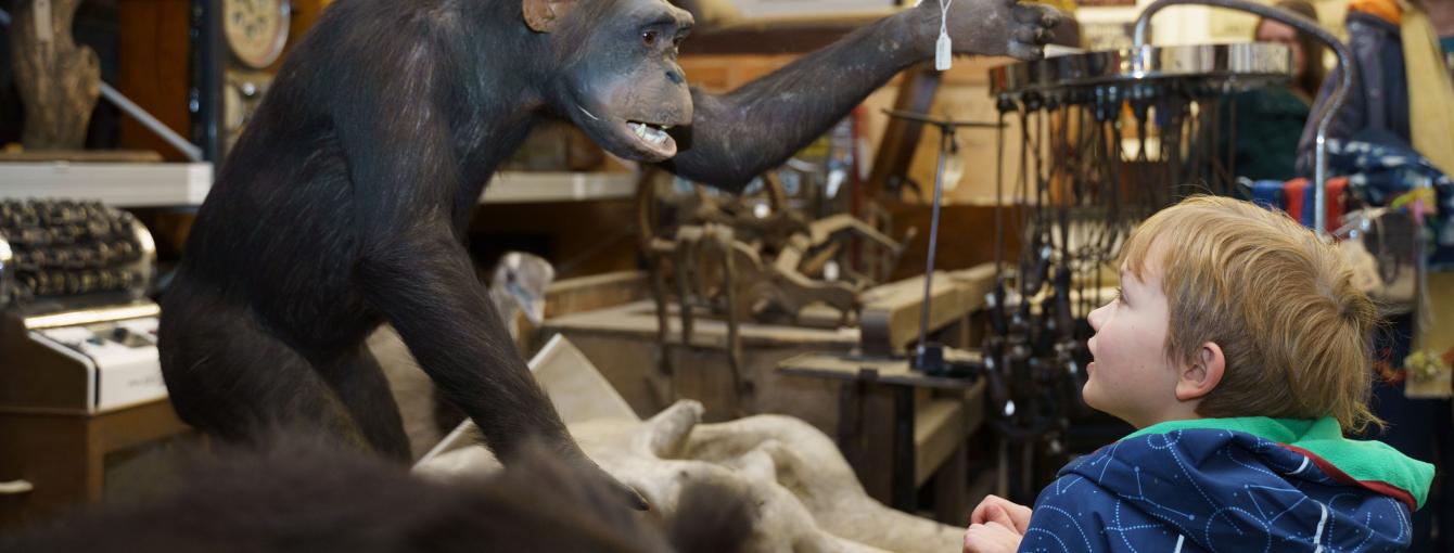 A Discovery Day / Thu 9 Apr 2026 / Leeds Discovery Centre