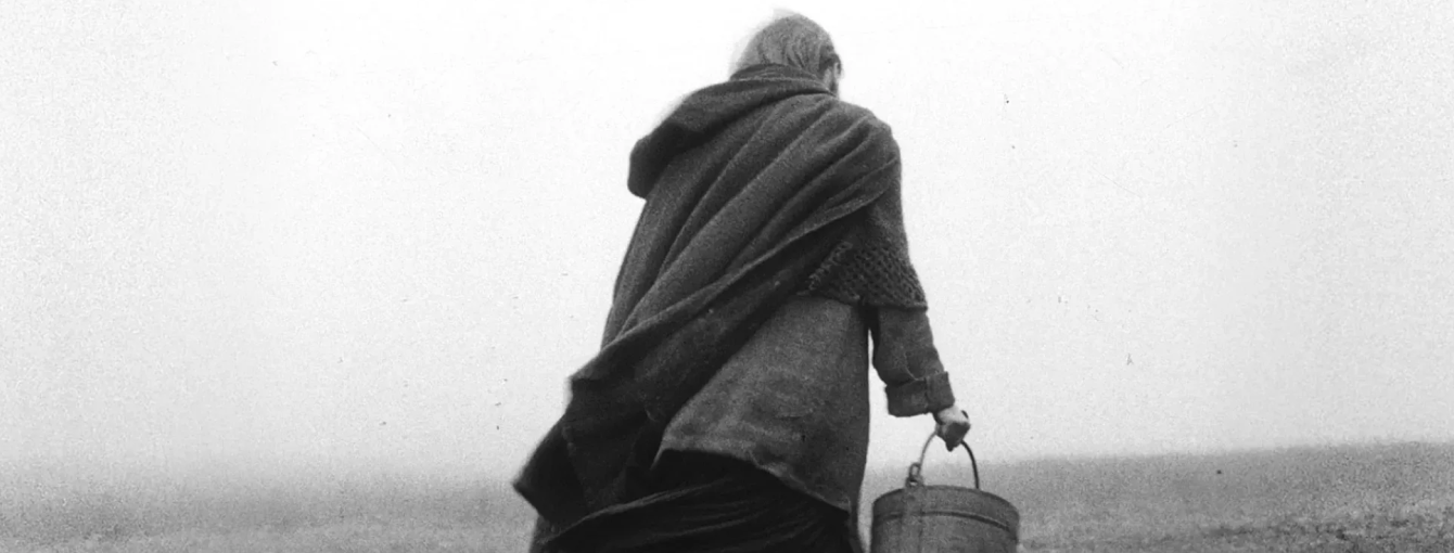 The Turin Horse (15) / Mon 22 Jun 2026 / Hyde Park Picture House / Image: Curzon Film World Limited