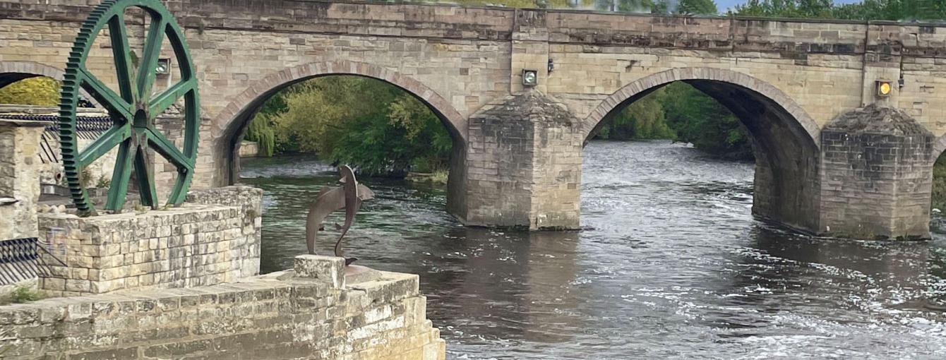 Wetherby Festival